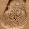 Nature of fingerprints, often used in forensic science and identifica Royalty Free Stock Photo