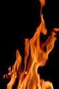 Nature Fire flames at dark night. Royalty Free Stock Photo