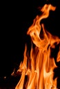 Nature Fire flames at dark night. Royalty Free Stock Photo