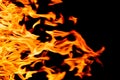 Nature Fire flames at dark night. Royalty Free Stock Photo