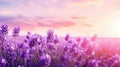 nature flora flower background serene