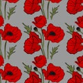 Nature floral poppy pattern vector image. Red petal nature plants isolated on blue background. Botany spring summer