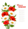 Nature flower background with red poppies and white daisies. Royalty Free Stock Photo
