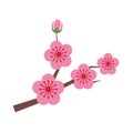 Nature flower pink plum blossom