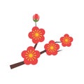 Nature flower red plum flower blossom