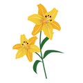 Nature flower yellow tiger lily Royalty Free Stock Photo