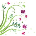 Pattern green red and purple floral and leaf vector background