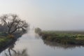 Nature fog landscape at sunrise with river in the Hula Valley, in Israel Royalty Free Stock Photo