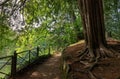 Nature Footpath at the Royal Gardens in Monza Royalty Free Stock Photo