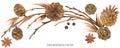 Nature Forest garland with cones and branches Royalty Free Stock Photo