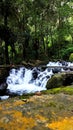 Nature forest leaf river rocks waterfall Royalty Free Stock Photo