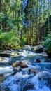 Nature forest river stones alam sungai