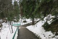 The nature of the forest, slippery stairs to the bottom.