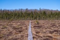 Nature forest wood hiking trail through swamp. Photo taken on a overcast spring day.