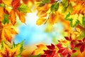 Nature frame with colorful autumn leaves Royalty Free Stock Photo