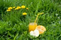 Nature. Fresh juice in glass staying on green grass with yellow dandelions near half of apple and orange Royalty Free Stock Photo