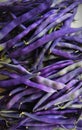 Purple beans organic nature fresh vegetables artistic closeup