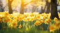 nature fresh spring background