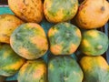 Nature fresh yellow and Green papaya healthy whole fruit in a basket Royalty Free Stock Photo