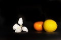 Fresh yellow lemon and orange tangerine fruit and white flower for food on black background Royalty Free Stock Photo