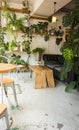 Nature friendly cafe interior. Modern urban restaurant. Sofa, chairs and wooden table in patio with plants. Royalty Free Stock Photo