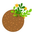 Nature garden ground with growing plant, vector illustration. Agriculture spring sprout flat icon, small seedling Royalty Free Stock Photo