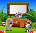 The nature garden view with the wooden board blank space and three happy raccoon