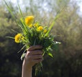 Nature generosity and humanity - child hand for sustainable, local environment Royalty Free Stock Photo