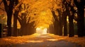 nature golden autumn background
