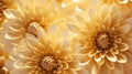 nature golden flower background