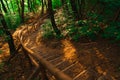 nature golden light foot path on stairs in ground in woods, autumn morning sun rise Royalty Free Stock Photo