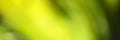 Nature gradient backdrop with bright sunlight. Abstract green blurred background. Ecology concept for your graphic design, banner Royalty Free Stock Photo