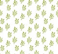 Nature graphics eamless pattern hand drawn green sprigs leaves. Royalty Free Stock Photo