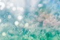 Nature grass flower field in soft focus , blue pastel background Royalty Free Stock Photo