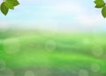 Nature green background with fresh leaves on a blurred background of grass and sky and bokeh effect. View with copy space add text