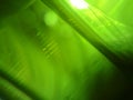 Nature Green Defocused   Smooth Abstract Background ,Bokeh of nature background .Abstract green defocused background - Nature Royalty Free Stock Photo