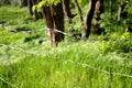 Fencing the with forested galvanized wire mesh made of metal wire against taste and entry protects barbed wire deters thieves Royalty Free Stock Photo