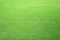 Nature green grass in the garden, Lawn pattern texture background, Perspective. Royalty Free Stock Photo