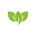 nature green leaf element vector icon. green leaves vector symbol