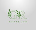 Nature Green Leaf Letter G, R and GR Logo Design. monogram logo. Simple Swirl Green Leaves Alphabet Icon Royalty Free Stock Photo