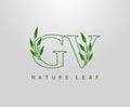 Nature Green Leaf Letter G, V and GV Logo Design. monogram logo. Simple Swirl Green Leaves Alphabet Icon Royalty Free Stock Photo