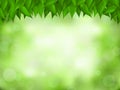 Nature green realistic background. Royalty Free Stock Photo
