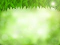 Nature green realistic background. Royalty Free Stock Photo