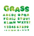 Nature green soft curve typeface alphabet.