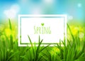 Nature spring background. Vector illustration.