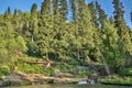 Nature of green trees and cascade of river near Medeo in Almaty, Kazakhstan,Asia Royalty Free Stock Photo