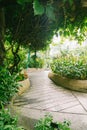 Nature green walk pathway. Garden walkway.