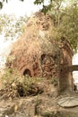 Nature gripped the ruined temple