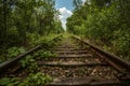 Nature Growing Through Railway Lines Royalty Free Stock Photo