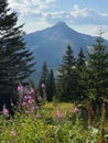 Nature of Hajla peak and Rugova mountains in Kosovo